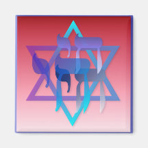 Chai and Star of David Magnet