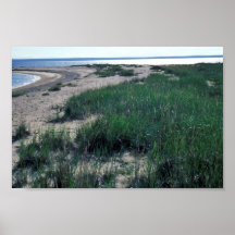 Chamisso Island sand spit Poster