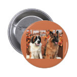 Chance LH-Shepherd Mae St Bernard Photo-3 Pin