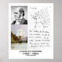 Charles Darwin Collage HMS Beagle Evolution Posters