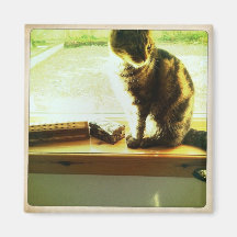 Charlie At The Window Fridge Magnets