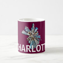 charlotte, nc coffee mug