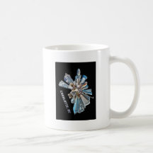 CHARLOTTE NORTH CAROLINA MUG