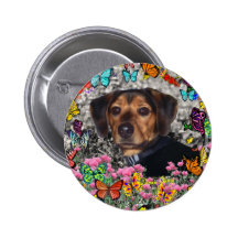 Chase in Butterflies Button