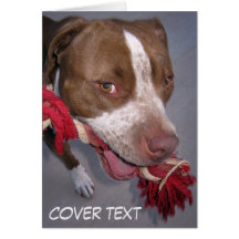 Cheeky Pitbull Greeting Cards