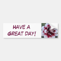 Cheerful dahlia bumper sticker
