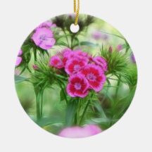 Cheerful Sweet William Flowers Ornaments