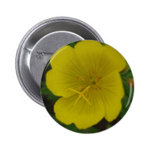 Cheerful yellow flower button
