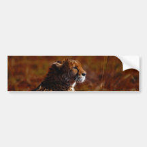 Cheetah and God Bumper Stickers