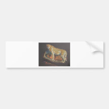 Cheetah at Rest Bumper Sticker