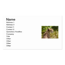 Cheetah Business Card Template