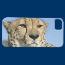 Cheetah Closeup iphone 5 case casemate cases