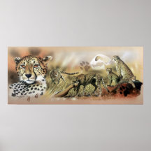 Cheetah Collection Poster