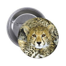 Cheetah Cub 2 Pinback Buttons
