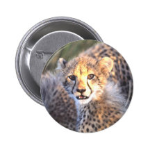 Cheetah Cub Button