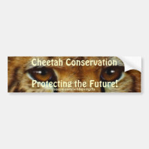 CHEETAH EYES Wildlife Conservation BUMPER STICKER