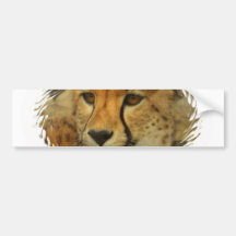 Cheetah Face Bumper Sticker