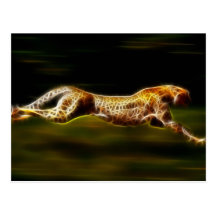 Cheetah Hunting His Prey Postcard