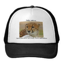 Cheetah Mesh Hats