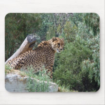 Cheetah Mousepad