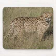 Cheetah Mousepads