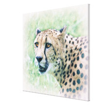 Cheetah Portrait Wildlife Art Canvas Gallery Wrap Canvas