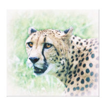 Cheetah Portrait Wildlife Art Canvas Canvas Print