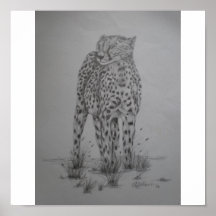 Cheetah Posters