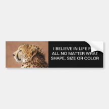 Cheetah Prince Bumper Stickers