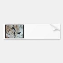 Cheetah Profile Bumper Sticker