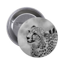 Cheetah profile buttons