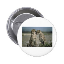 cheetahs button