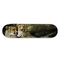 Cheetahs Lounging Grunge Skateboard Deck