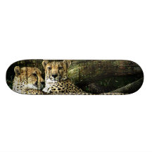 Cheetahs Lounging Grunge Skateboard Decks