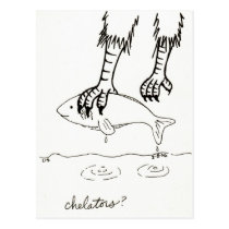 Chelators postcard postcards