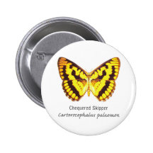 Chequered Skipper Butterfly with Name Pinback Button