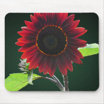 Cherry and Chocolate Sunflower Mouse Pad