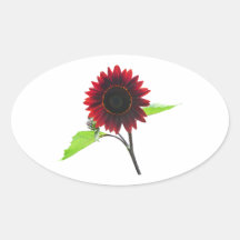 Cherry and Chocolate Sunflower Sticker