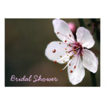 Cherry Blossom Bridal Shower Invitation