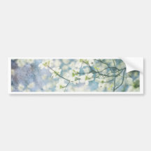 Cherry Blossom Bumper Sticker