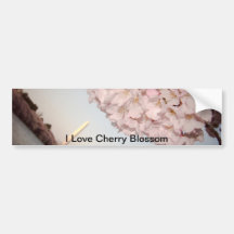 Cherry Blossom Bumper Stickers
