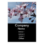 Cherry Blossom Business Card