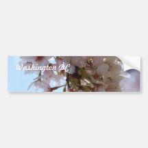 Cherry Blossom Festival Bumper Sticker