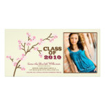 Cherry Blossom Graduation Announcement (pink) Photo Cards