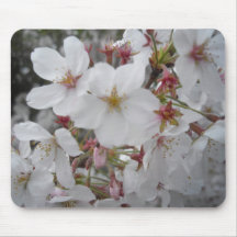 Cherry Blossom Mousepads