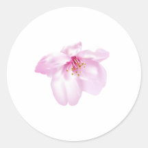 Cherry Blossom Round Sticker