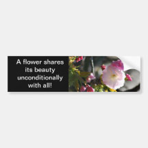 Cherry Blossoms and meaning Bumper Stickers