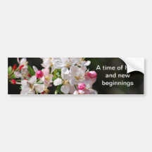 Cherry blossoms bumper stickers