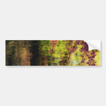 Cherry Blossoms Over A Pond Bumper Sticker