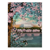 Cherry Blossoms Vintage Postcard